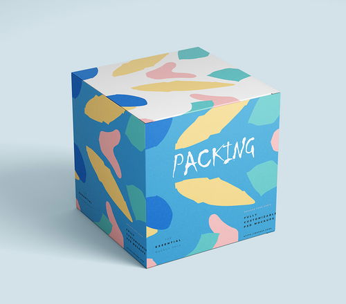 時(shí)尚產(chǎn)品包裝設(shè)計(jì)樣機(jī)資源解析與淘寶采購指南